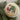 Cross-stitched ornament with Santa Claus and a reindeer on a beige background, surrounded by greenery.