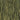 GA Moss 0194