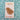 Folk art squirrel needle minder