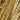GA Caramel Corn 7061