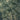 Atomic Ranch Into the Woods 32 Linen