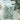 October House Blue Notes Number Five