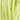 DMC 0015 Apple Green 6 Strand Floss