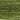 DMC 0469 Avocado Green 6 Strand Floss