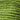 DMC 0470 Light Avocado Green 6 Strand Floss