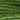 DMC 0905 Dark Parrot Green 6 Strand Floss