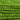 DMC 0906 Medium Parrot Green 6 Strand Floss