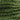 DMC 3346 Hunter Green 6 Strand Floss