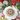 Primrose Cottage Garden Variety Mushrooms PCS-213