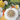 Primrose Cottage Garden Variety Carrots PCS-214