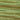 WDW Celadon 1261