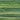 WDW Collards 1277