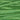 WDW Monkey Grass 2168